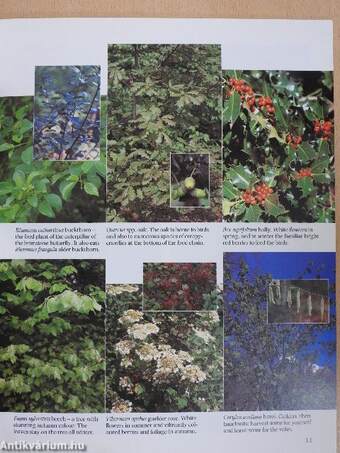 The Small Ecological Garden