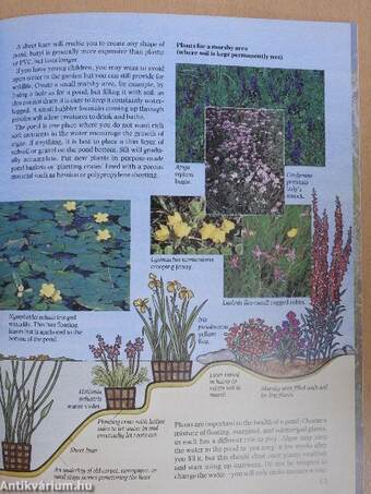 The Small Ecological Garden