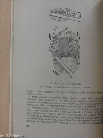 A családi élet iskolája fiúknak