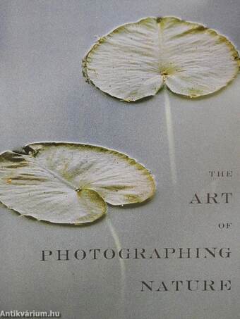 The Art of Photographing Nature