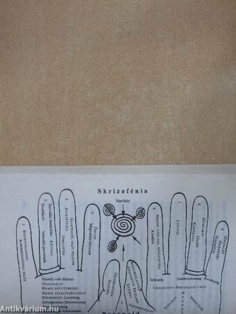 Disznók a szalonban