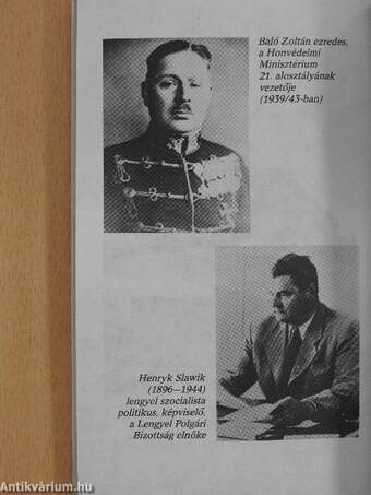 Lengyel katonák magyar földön