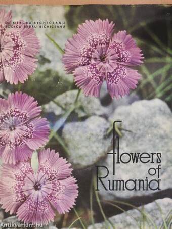 Flowers of Rumania