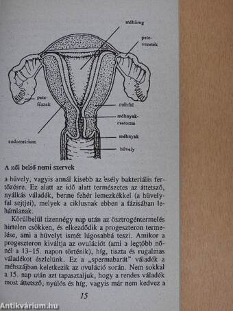 Mit kell a nőknek tudniuk a krónikus fertőzésekről és a nemi úton terjedő betegségekről?