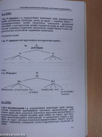 Koreferáló elemek - koreferenciarelációk