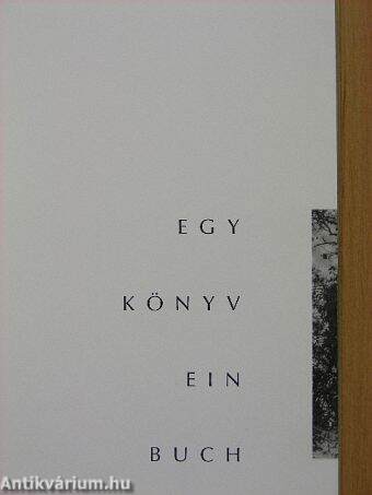 Egy könyv