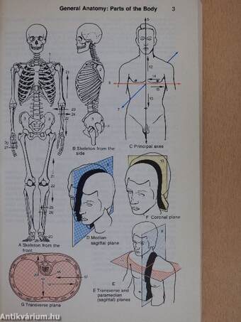 Color Atlas and Textbook of Human Anatomy 1.