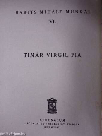 Timár Virgil fia