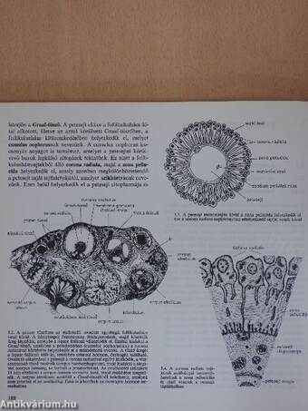 Orvosi biológia