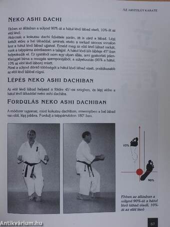 Az abszolút karate