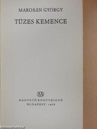 Tüzes kemence