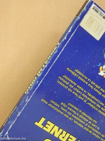 Manual Disney Ghid Internet