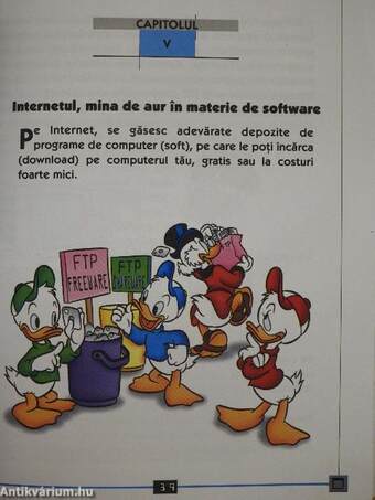 Manual Disney Ghid Internet