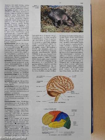 Magyar Larousse Enciklopédia 1. (töredék)