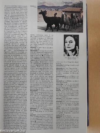 Magyar Larousse Enciklopédia 1. (töredék)