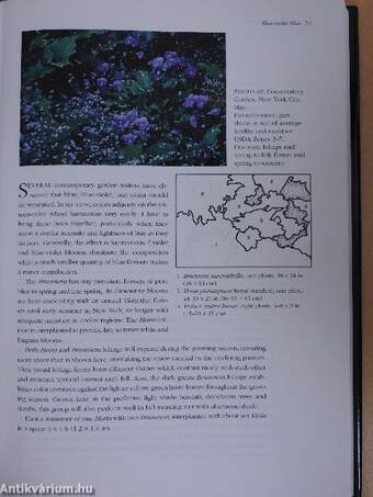 The Harmonious Garden