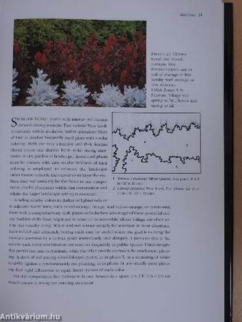 The Harmonious Garden