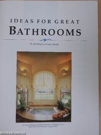 Ideas for Great Bathrooms