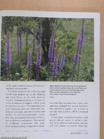 Landscaping with Wildflowers