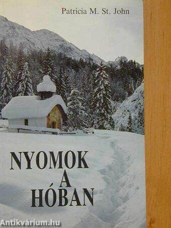 Nyomok a hóban