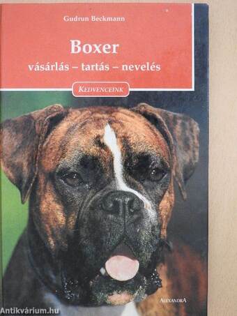 Boxer