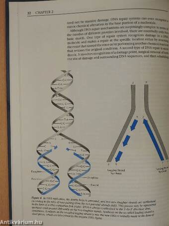 Introduction to Molecular Medicine