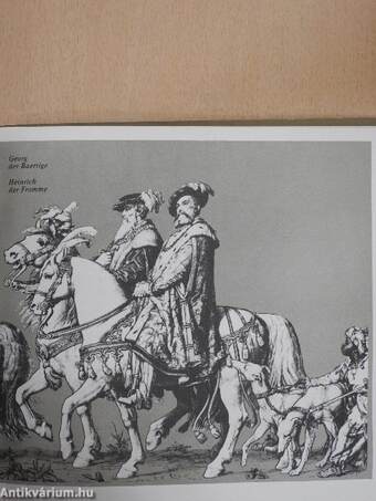 Der Fürstenzug zu Dresden