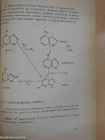 Biokémia III.