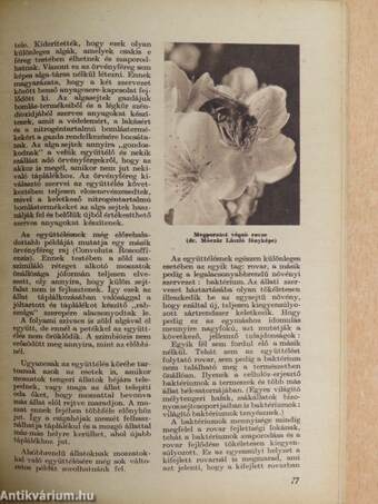 Az Élet és Tudomány Tudományos Kalendáriuma 1960