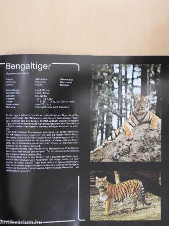 Safari- Und Abenteuerpark Gänserndorf