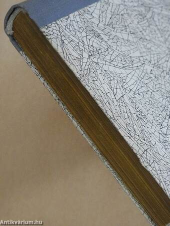 Vész és kaland/Őserdő