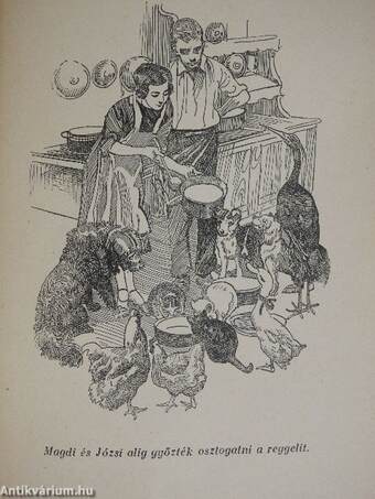 Az elvarázsolt kastély