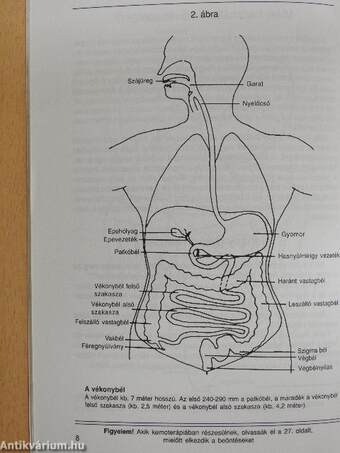 A gyógybeöntés ABC-je