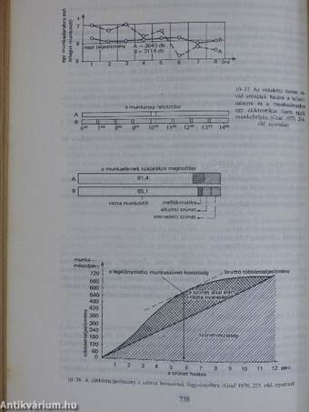 Munkapszichológia I-II.