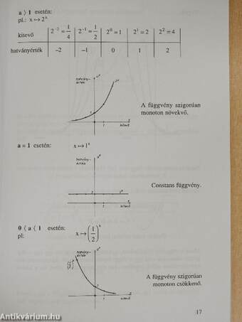 Az "Összefoglaló feladatgyűjtemény matematikából" című könyv feladatainak részletes kidolgozása X. fejezet