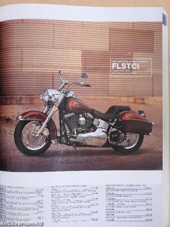 Harley-Davidson 2001