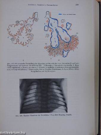 Lehrbuch der Pädiatrie