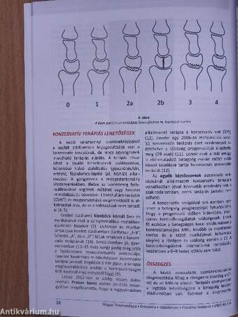 Magyar Traumatológia, Ortopédia, Kézsebészet, Plasztikai sebészet 2020/1-4.