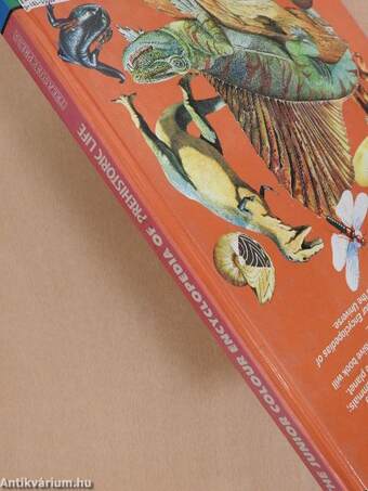 The Junior Colour Encyclopedia of Prehistoric Life