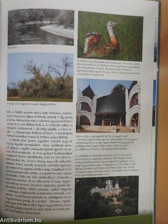 Magyarország vidékei