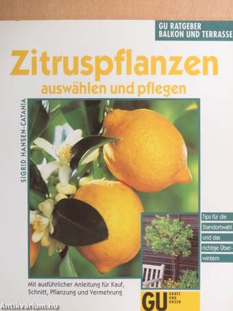 Zitruspflanzen auswählen und pflegen