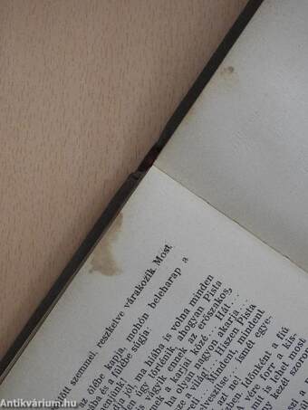 Emberek a Szamos mentén