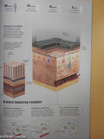 National Geographic Magyarország 2020. (nem teljes évfolyam)