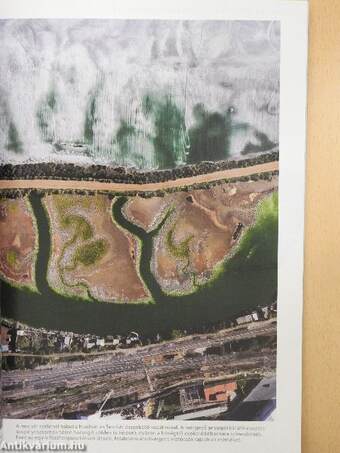 National Geographic Magyarország 2020. (nem teljes évfolyam)