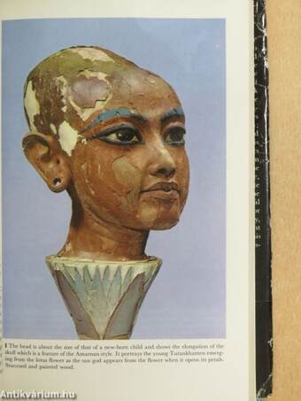 Life and Death of a Pharaoh Tutankhamen