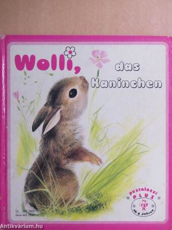 Wolli, das Kaninchen