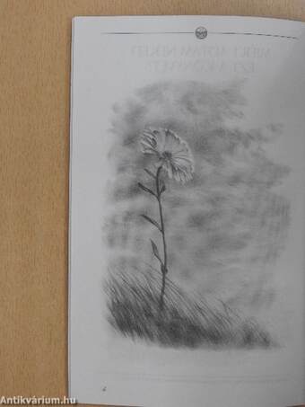 Az út a boldogsághoz