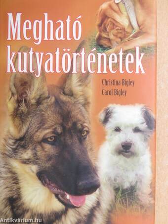 Megható kutyatörténetek