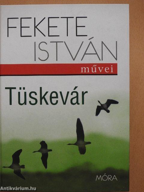 Tüskevár