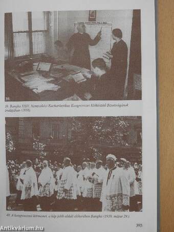 Bangha Béla SJ emlékezete